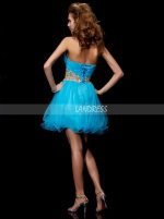 A-line Blue Sweet 16 Dresses,Tulle Homecoming Dress,11457