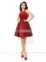 Burgundy Cocktail Dresses,Halter Homecoming Dress,Short Prom Dress,11434